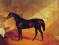 Sr. Johnstones Carlos XII en un caballo estable Herring Snr John Frederick